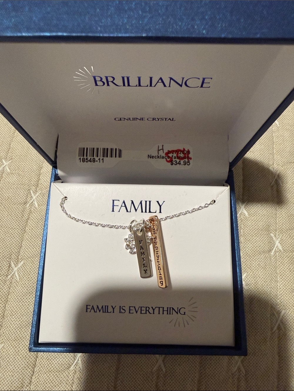 Haus of Brilliance Dual-Tone Family Bar Necklace in Silver and Rose Gold